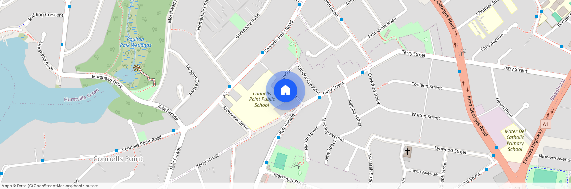 41 Condor Crescent, NSW 2221, Connells Point