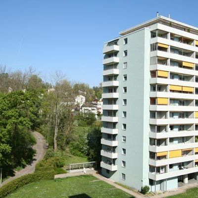 Apartment in Zurich-Höngg in quiet location - Foto 1