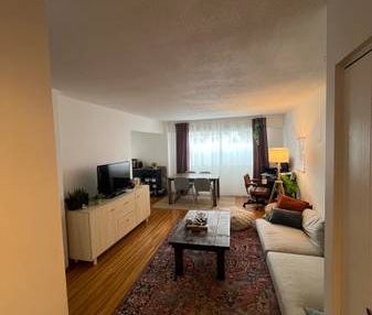 Large pet friendly 1 BED - Photo 2