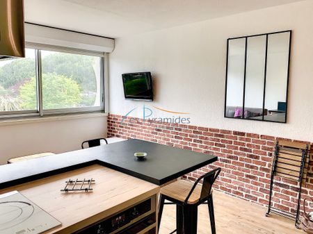 Location Appartement 1 pièce 30m² LA GRANDE MOTTE 34280 - Photo 4