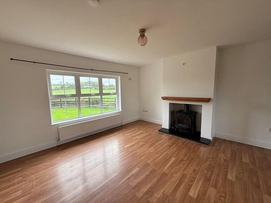 47a Ballymacanallen Road, Gilford, BT63 6AE - Photo 1