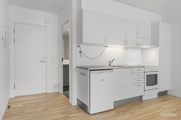 1-værelses Lejlighed på 45 m² i Aalborg - Photo 1