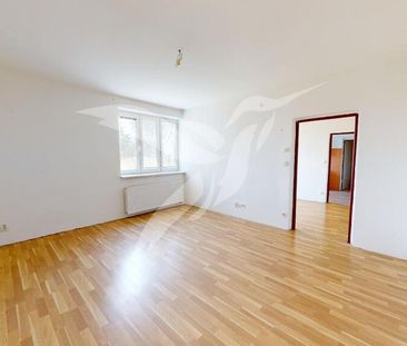 Pronájem bytu 2+1 59 m2 - Fotografie 6