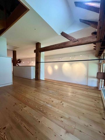 1 Zimmer, 100 m², 1. Stock - Foto 3