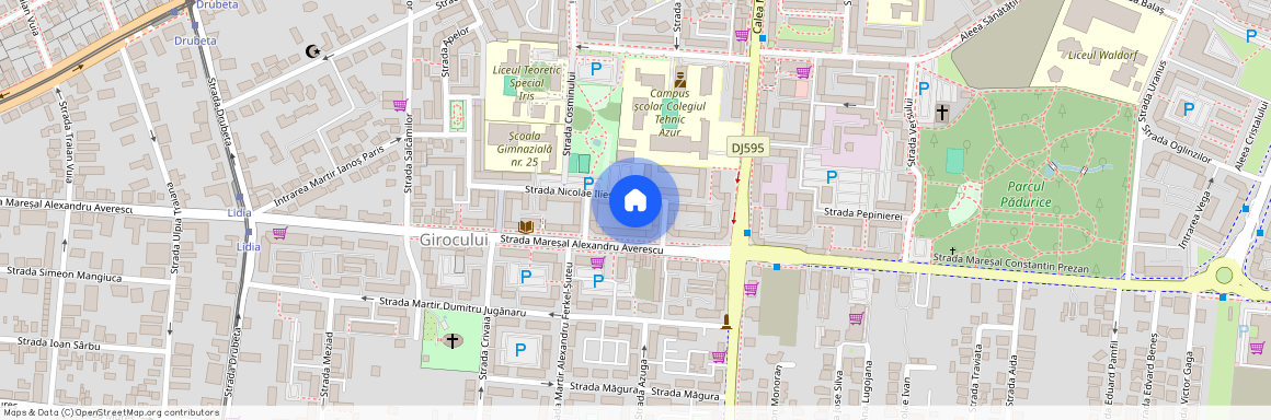 Timisoara, Lidia