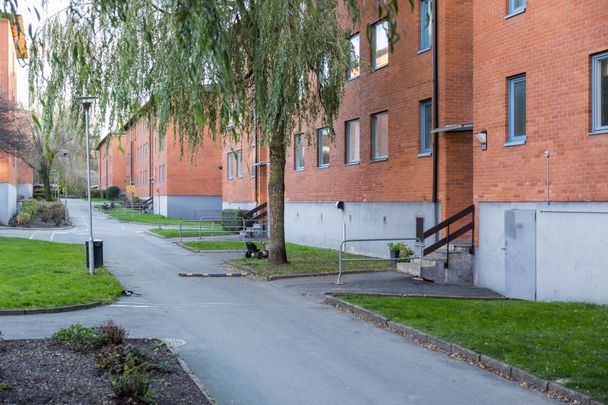 Pilegården 3C - Foto 1