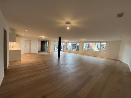 Cooles 1-Zimmer-Loft in Stetten zu vermieten. - Foto 1