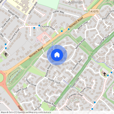 Celandine Close, Thetford, IP24