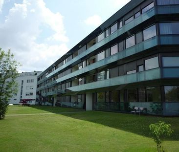 Wünschen Sie sich ein Zuhause in Rheinnähe? - Foto 6