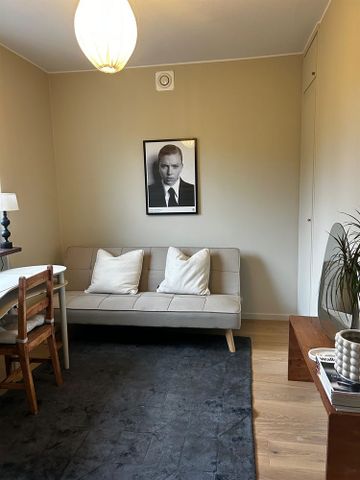 Kostervägen - Photo 4