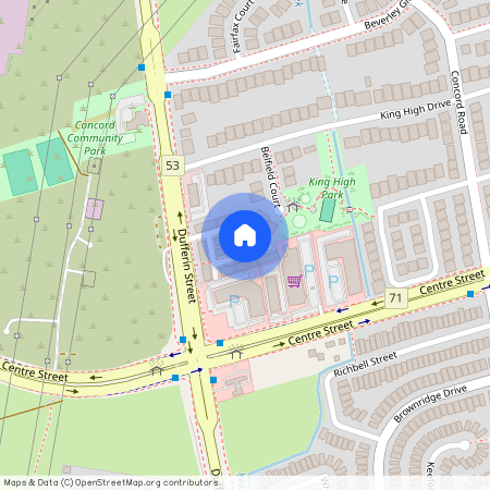 133 Moneypenny Place, Vaughan