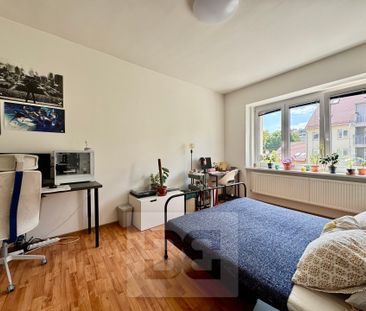 Pronájem bytu 2+1 65 m², Rostislavovo náměstí, Brno - Photo 2