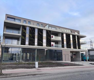 Schelle - Appartement - Photo 5