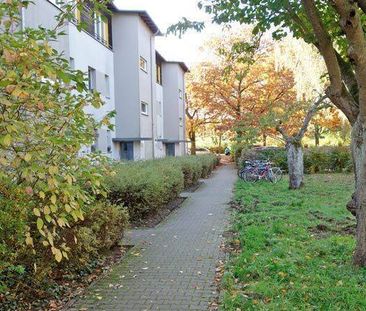 Berlin-Zehlendorf: helle, freundliche und für 1-2 Personen geeignet... - Foto 1