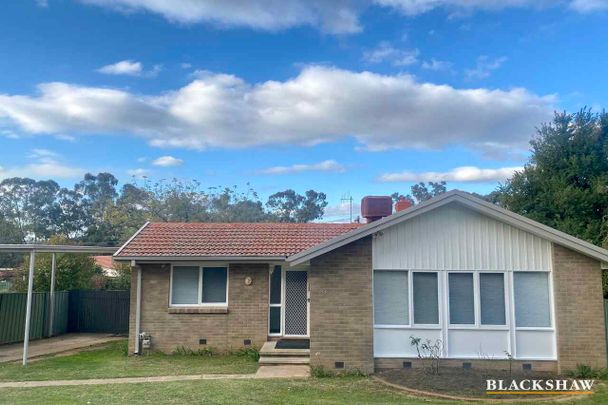 Renovated three bedroom home in the heart of Woden - Photo 1