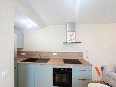 Location Appartement 2 pièces 26m² GRENOBLE 38000 - Photo 3