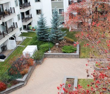 2 Bedroom Condo For Rent In Windsor Park: 40+ Bldg - Photo 4