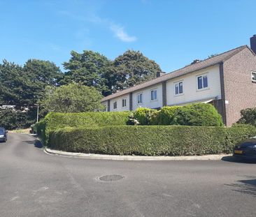 Olmstraat 50, 6823 MX Arnhem - Foto 1