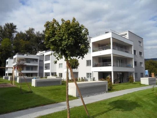 2.5 Zimmer, 51 m², EG - Photo 1