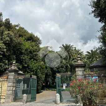 Monolocale in affitto - Photo 2