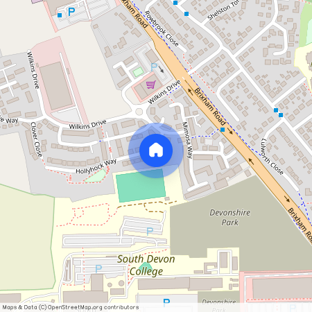 Hollyhock Way, Paignton, TQ4