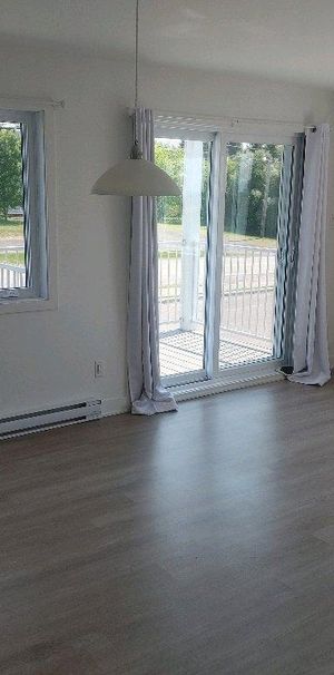 3 1/2 à louer 1er étage wifi et laveuse sécheuse inclus - Photo 1