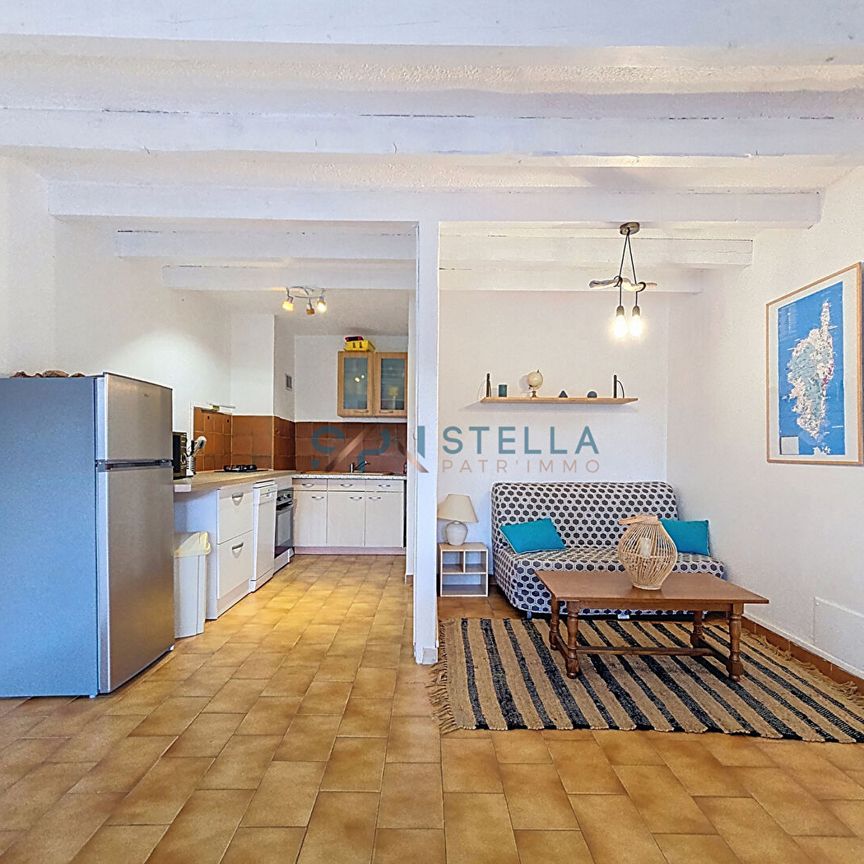 T2 Meublée en bas de villa avec vue dégagée - Photo 1