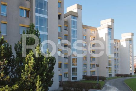 5.5 Zimmer, 128 m², 5. Stock - Photo 3