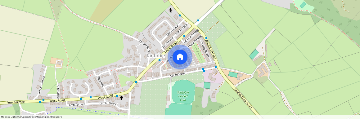 Neale Street, Tantobie, Stanley