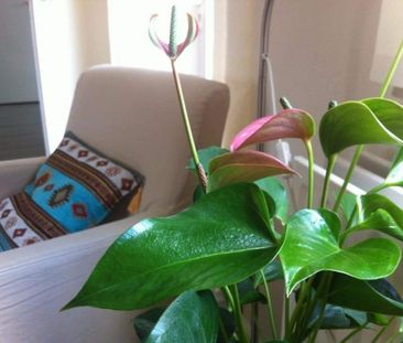 Appartement meublé Ooievaarhof, Utrecht - À louer - Foto 2