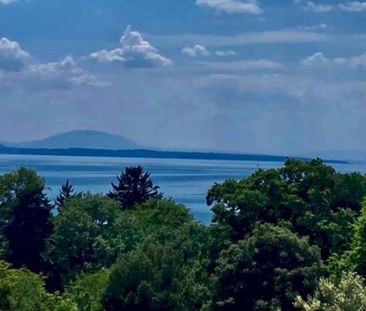 Demeure entièrement rénovée avec vue sur le lac - Foto 3