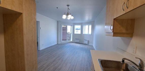 Grand 3 1/2 RENOVER, Saint-Eustache avec clientèle établi de 55+ ans - Photo 2