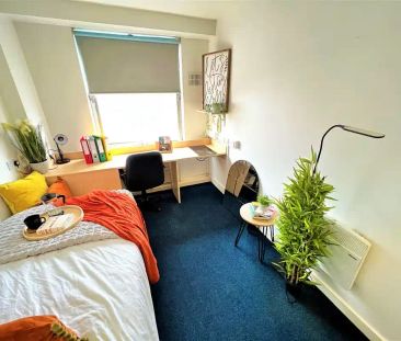 Classic Studio - Photo 3