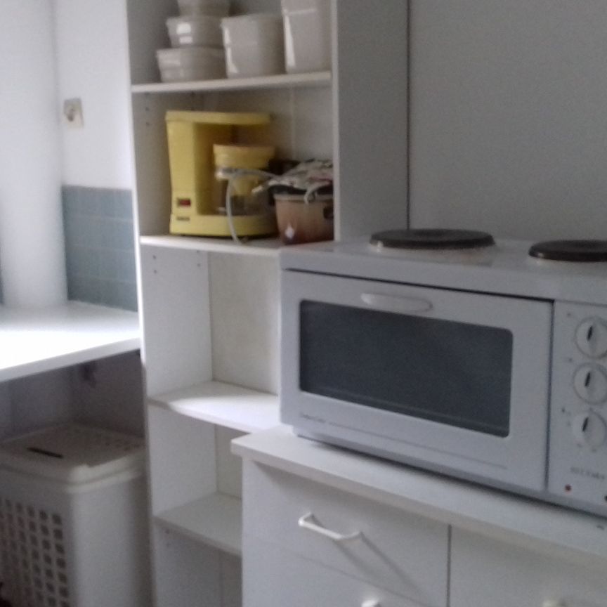 Studio meublé de 28m² à Chartrettes - 650€ C.C. - Photo 1