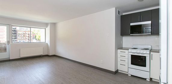 1 CH - 1 SDB - Outremont Près Laurier - $1,360 /mo - Photo 2