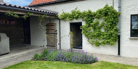 Woning te huur in Diksmuide voor € 1.050 met 3 slaapkamers - Photo 5