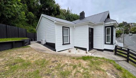 Newly Renovated Home Minutes from Dunedin Central - Photo 4