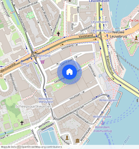 Gedempte Zalmhaven, Rotterdam