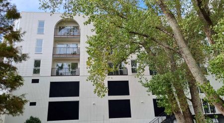 Feel the Aroha in Avondale! - Photo 2