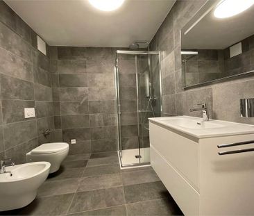Gudo, appartamento 2.5 locali con terrazzo - Photo 4
