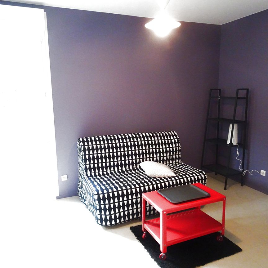 STUDIO MEUBLE DE 18 M2 AVEC TERRASSE PRIVATIVE - Photo 1