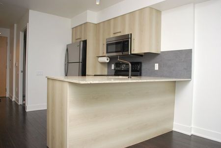 For Lease - 1048 Broadview Avenue Unit# 306, Toronto, Ontario - Photo 5