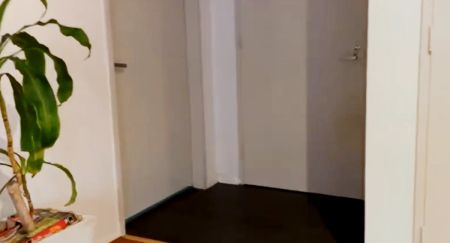 118 joyton ave zetland, Sydney - Photo 4