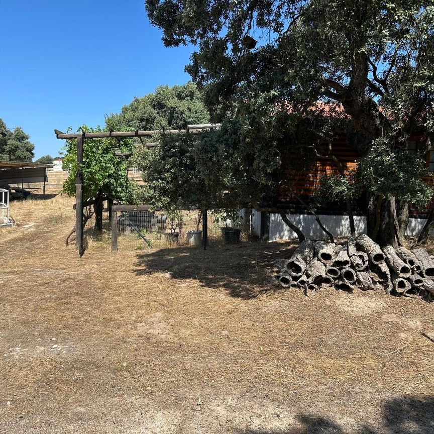 Villanueva De La Cañada - Photo 1