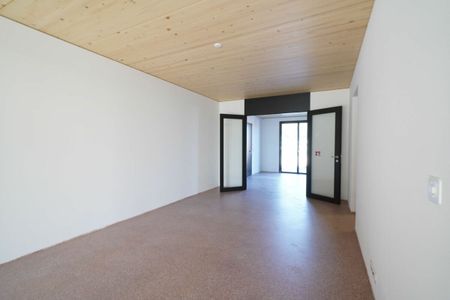 Atelier-Wohnung im suburbanen Schweighofquartier - Photo 2