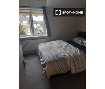 Shared room for rent in Dublin, bills included. - Photo 5