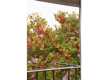 Rua General Silva Freire, Lisbon, Lisbon 1800 - Photo 4