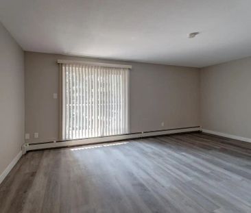 Blue Quill Pointe — 2-Bedroom Updated - Photo 6