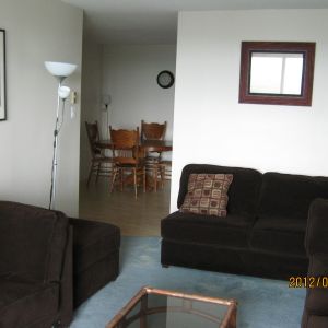 fully furnished 3 BR apt - Photo 2