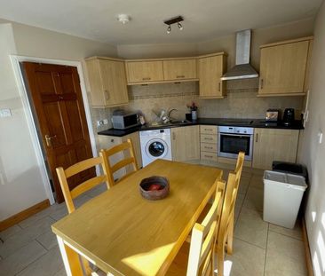 13 Musgrave Park Court, Belfast, BT9 7HZ - Photo 1